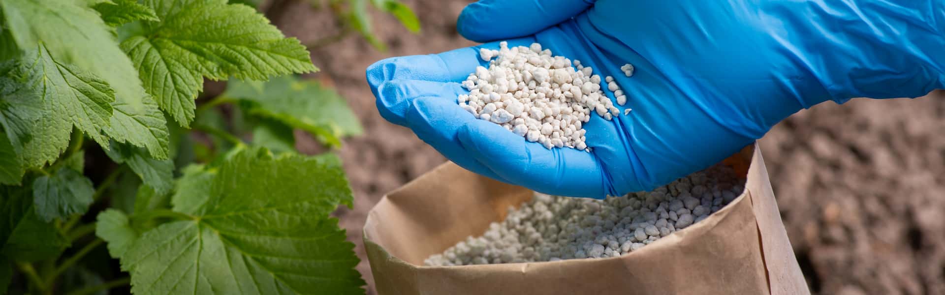 fertilizante químico