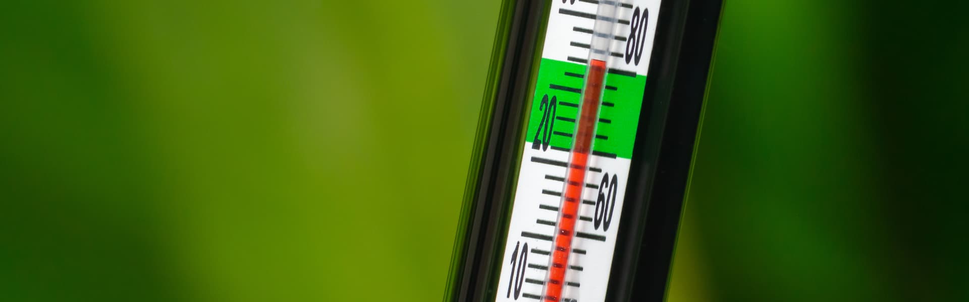 Oscilação climática